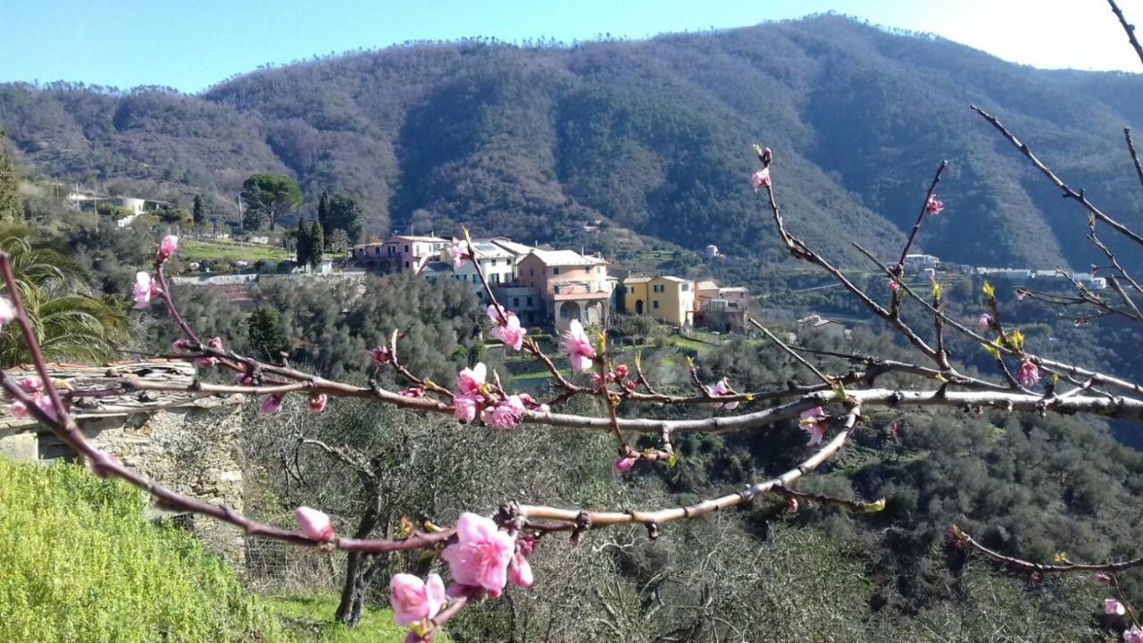 Casa Burrasca Villa Levanto Luaran gambar